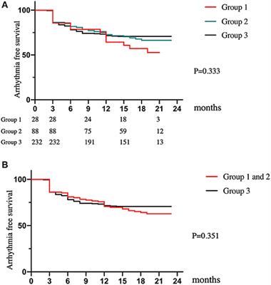 Clinical Safety and Efficacy of Ablation for Atrial Fibrillation Patients With a History of Stroke